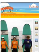 ทำเว็บไซต์ SeranganSurfsing